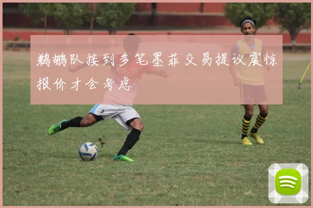 鹈鹕队接到多笔墨菲交易提议震惊报价才会考虑